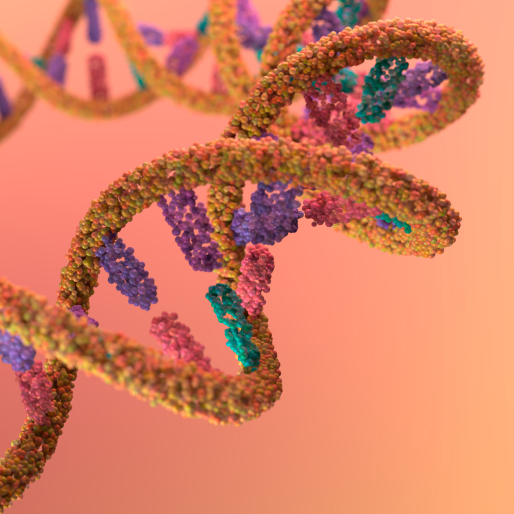 estereoscópica visión