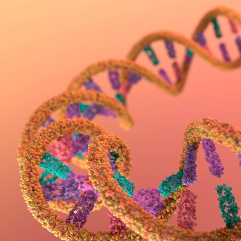 vision estereóscopica